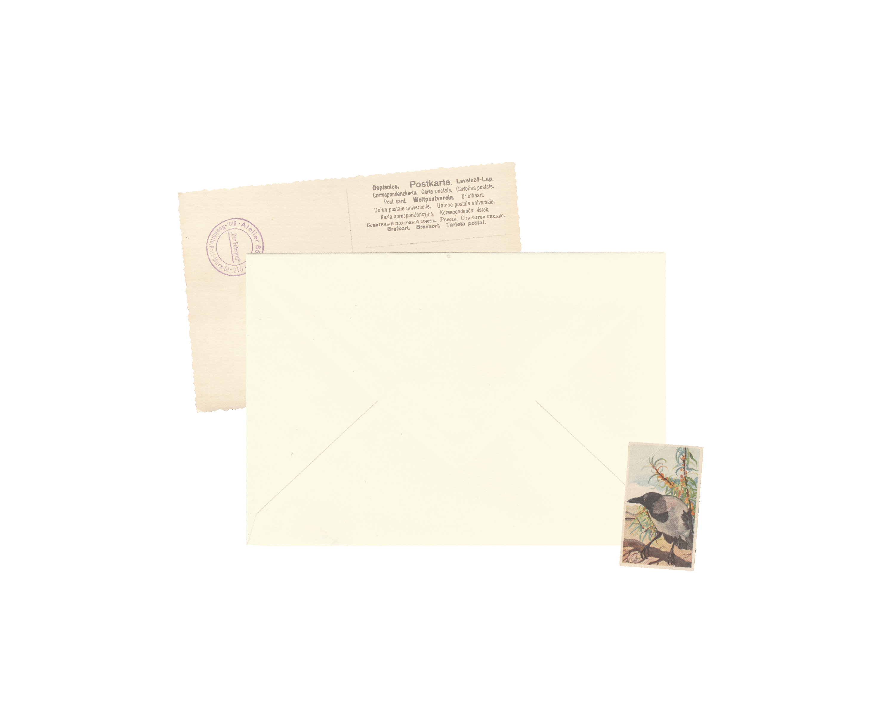 Envelope Contato