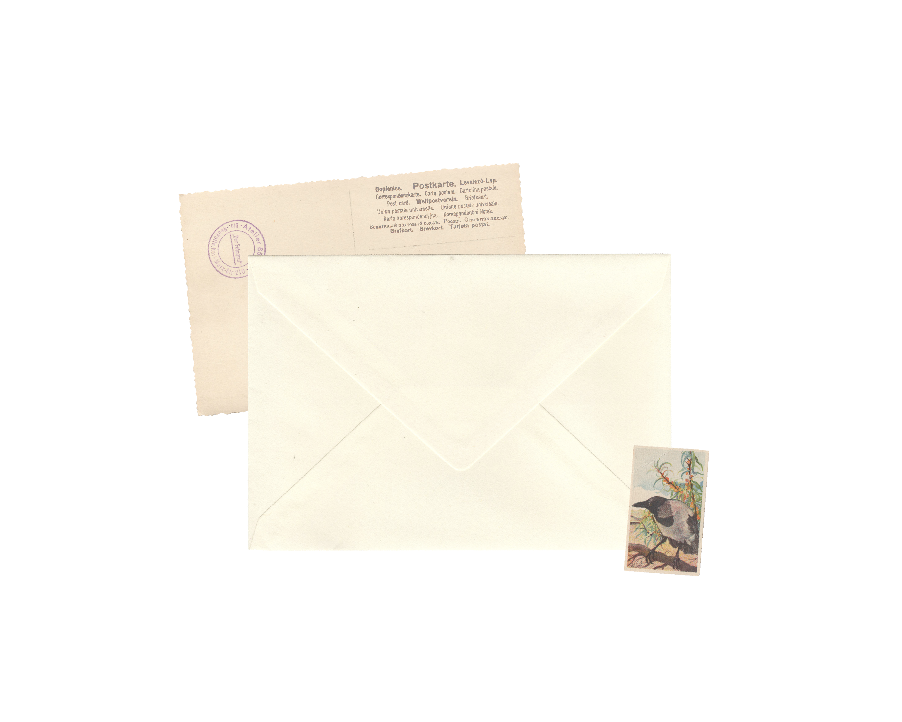 Envelope Contato